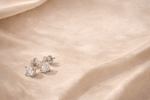 Load image into Gallery viewer, Big Sparkle Moissanite Studs – Moissanite Stud Earrings