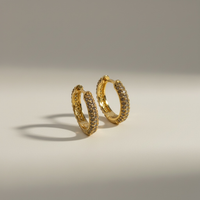 Everyday Sparkle Huggie Hoops