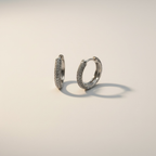 Everyday Sparkle Huggie Hoops